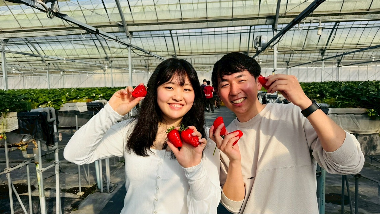 いちご狩り