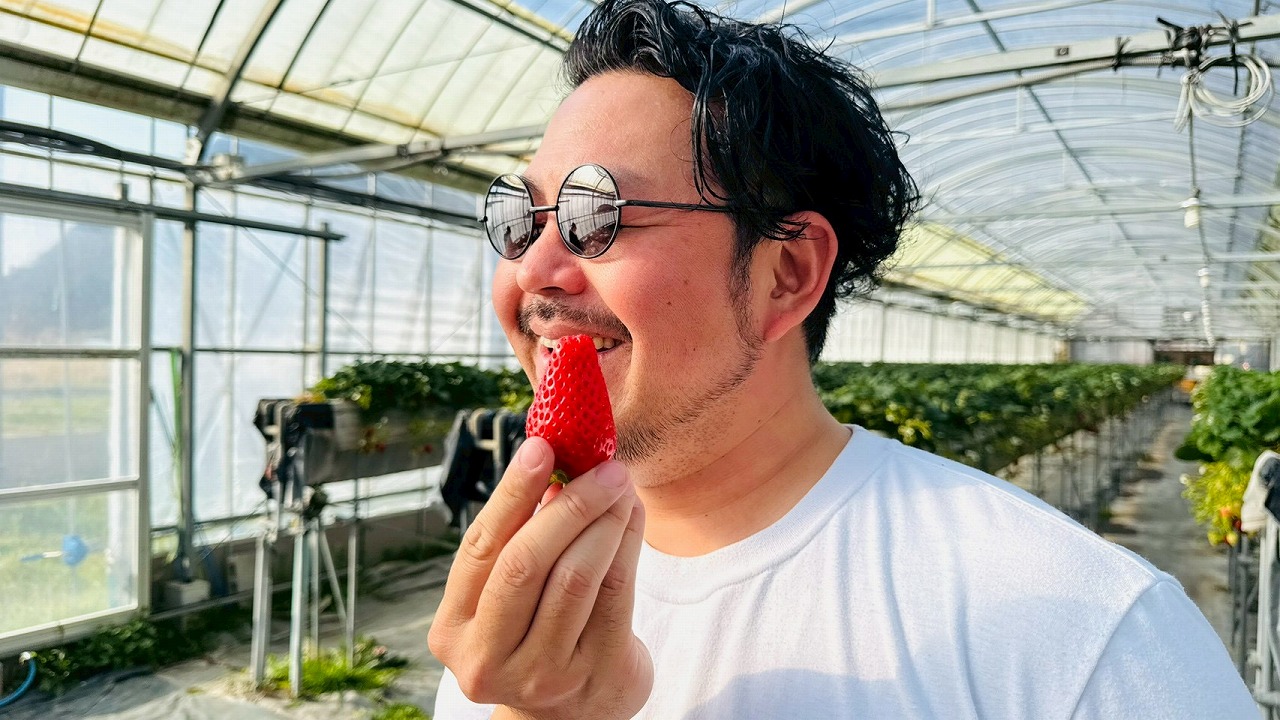いちご狩り