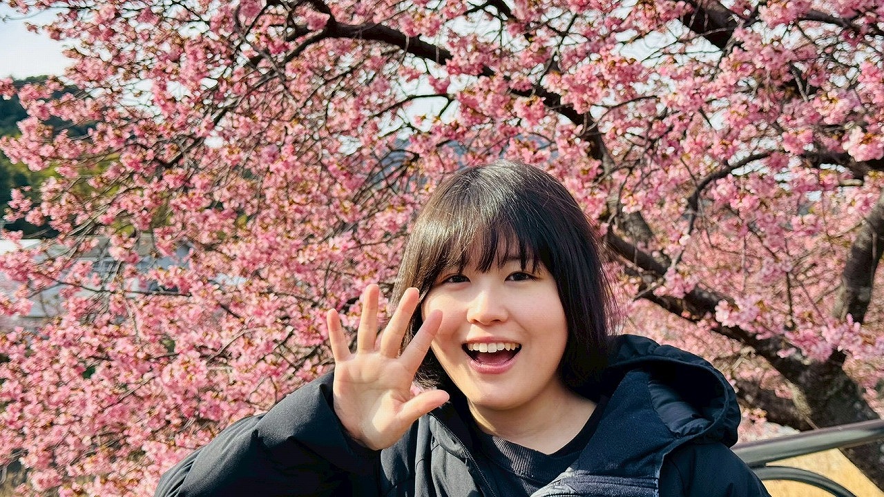 河津桜