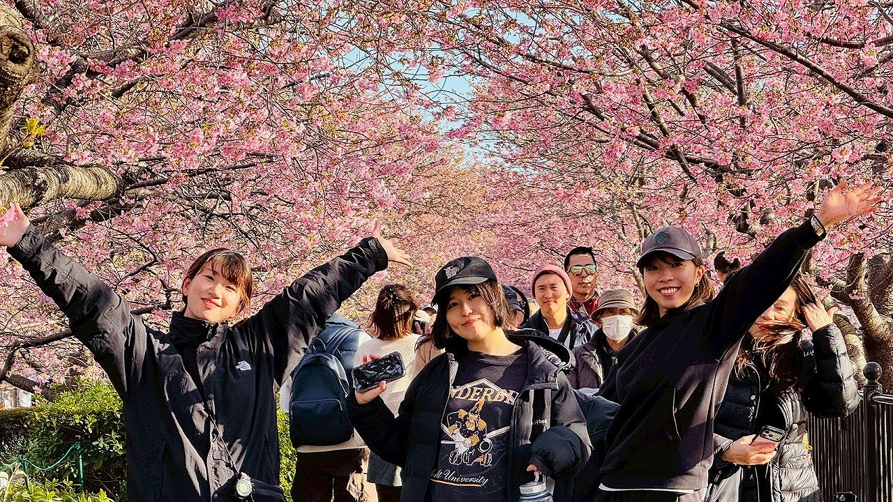 河津桜
