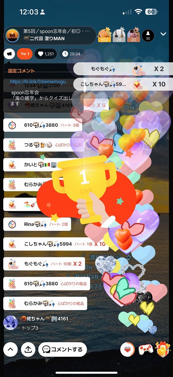 潜り納め